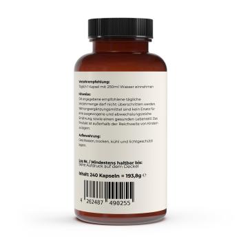 Preview: gepuffertes Vitamin C 500mg